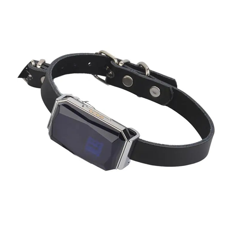 Waterproof IP67 Pet Collar with Wifi Light GPS Tracker Anti-Lost Location Device for Dogs Kids Personal Locator