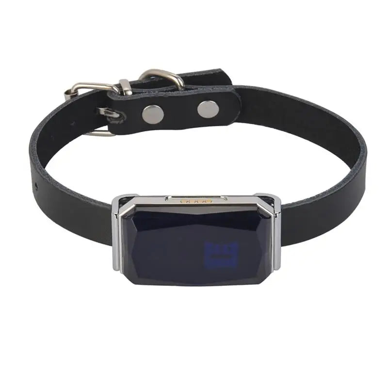 Waterproof IP67 Pet Collar with Wifi Light GPS Tracker Anti-Lost Location Device for Dogs Kids Personal Locator