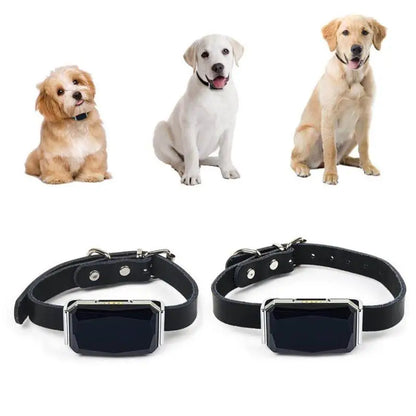 Waterproof IP67 Pet Collar with Wifi Light GPS Tracker Anti-Lost Location Device for Dogs Kids Personal Locator